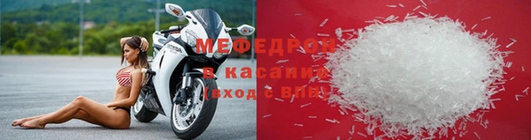 прущие грибы Михайлов