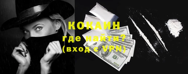 прущие грибы Михайлов