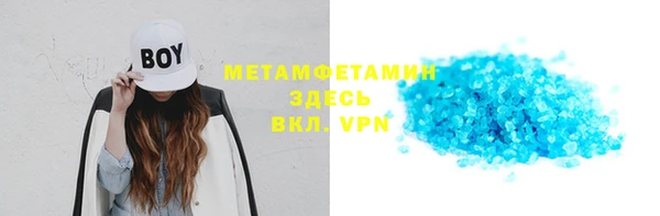 прущие грибы Михайлов