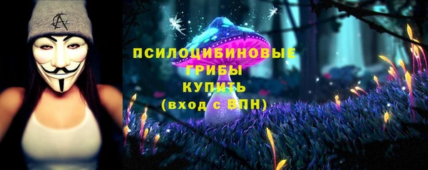 стаф Михайловка