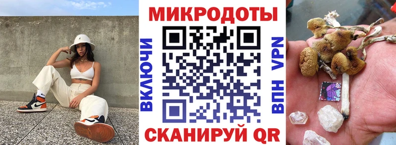 наркота  Биробиджан  Псилоцибиновые грибы Psilocybe 